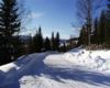 PIC00007